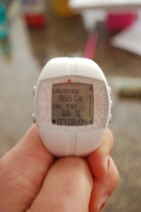 Polar HR 1