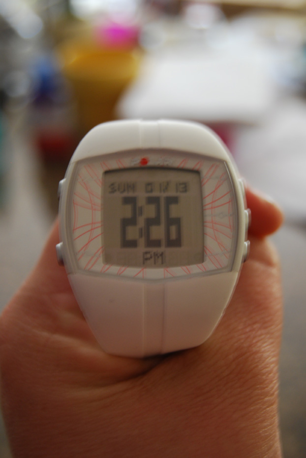 Polar HR 2