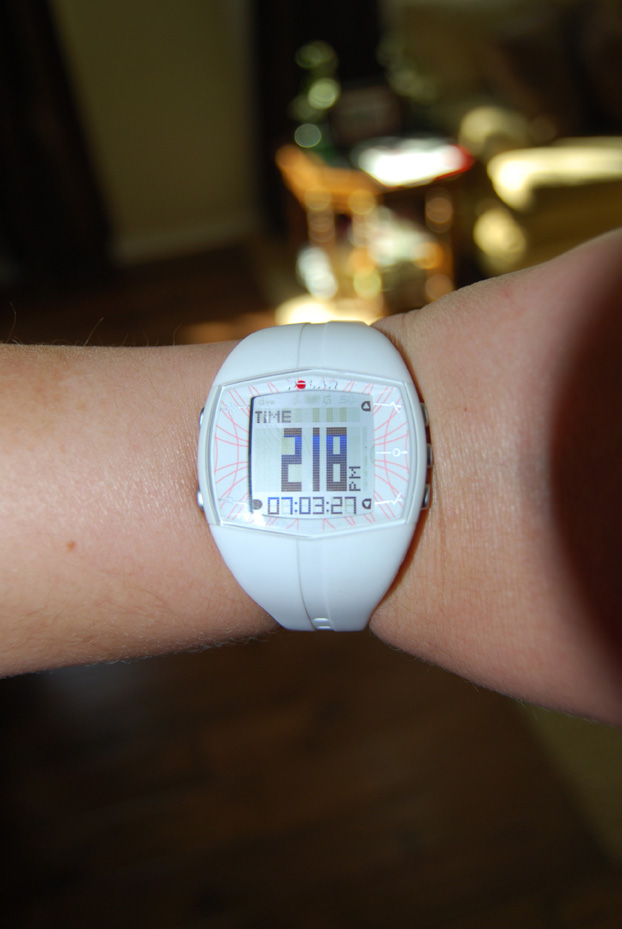 Polar HR 4